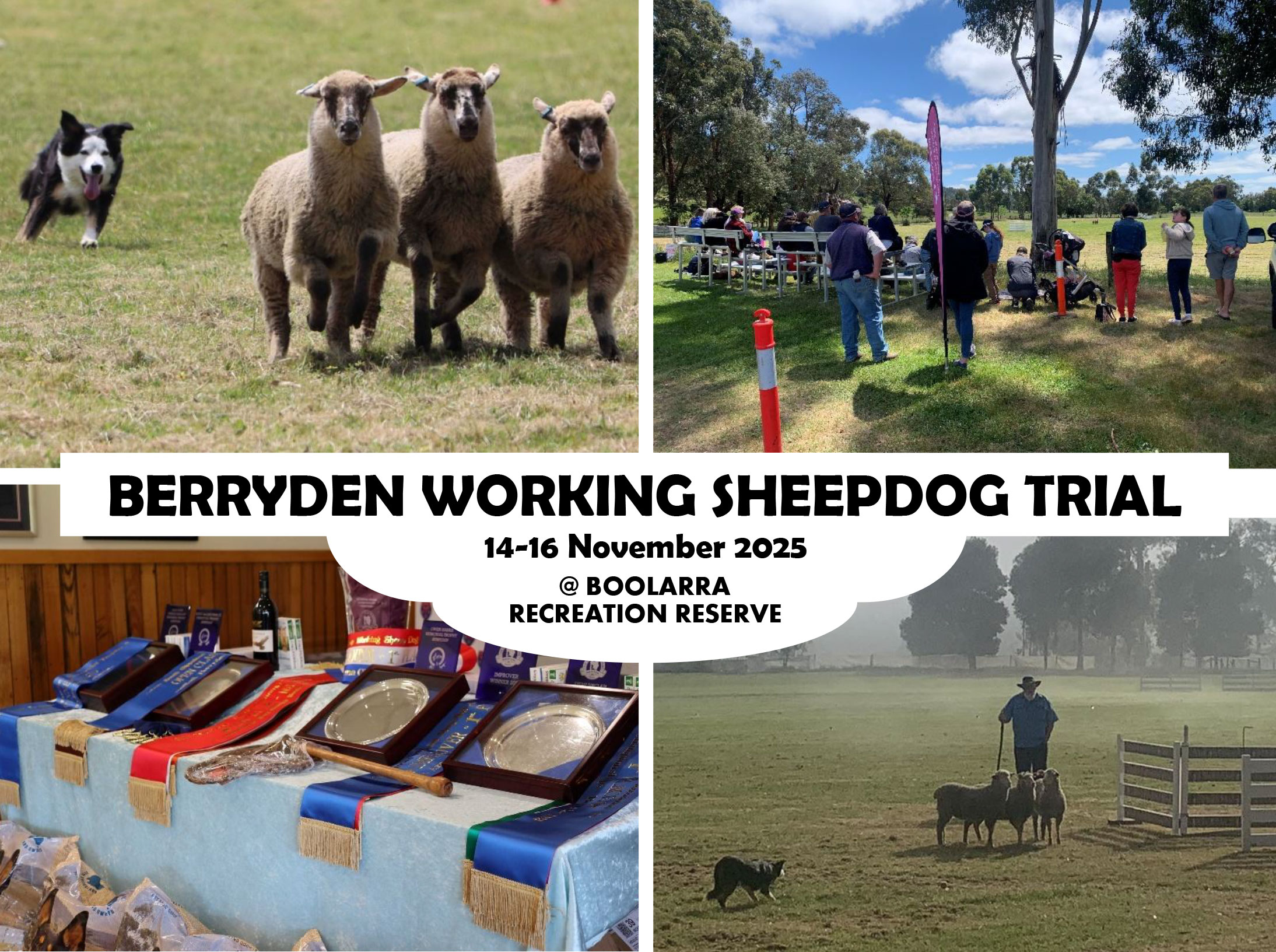 Berryden Working Sheepdog Trials