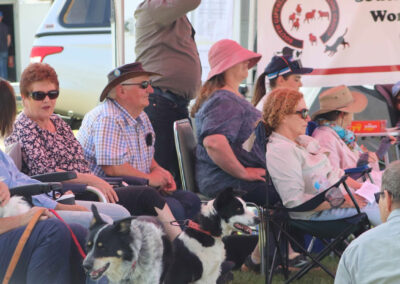 Berryden Working Sheepdog trials